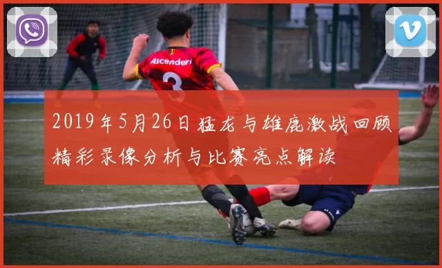 2019年5月26日猛龙与雄鹿激战回顾精彩录像分析与比赛亮点解读