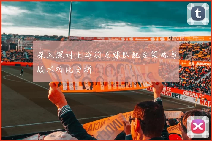 深入探讨上海羽毛球队配合策略与战术对比分析