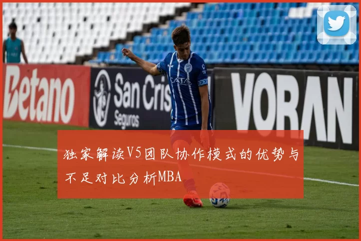 独家解读V5团队协作模式的优势与不足对比分析MBA