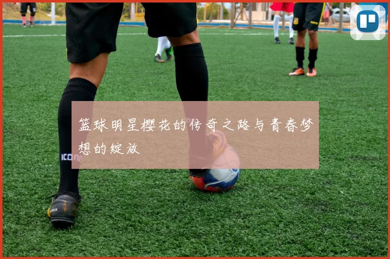 篮球明星樱花的传奇之路与青春梦想的绽放