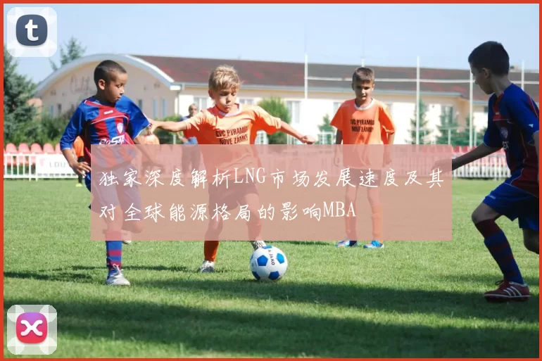 独家深度解析LNG市场发展速度及其对全球能源格局的影响MBA