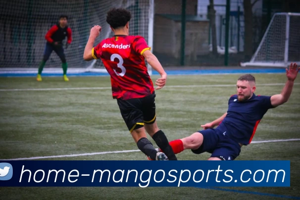 芒果体育官网平台生态图