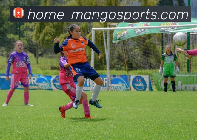 芒果体育官网发展历程