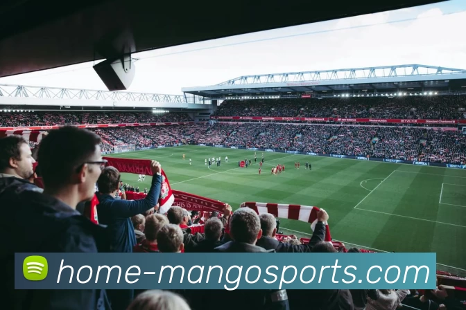 App Interface Preview