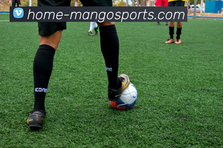 多媒体互动体验