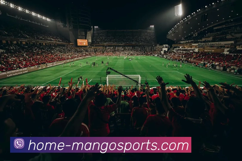 芒果体育官网APP 封面图